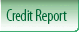 Credit Report